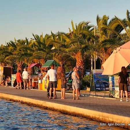 Na Moru With Pool And Sea View Daire Sveti Petar (Zadar)